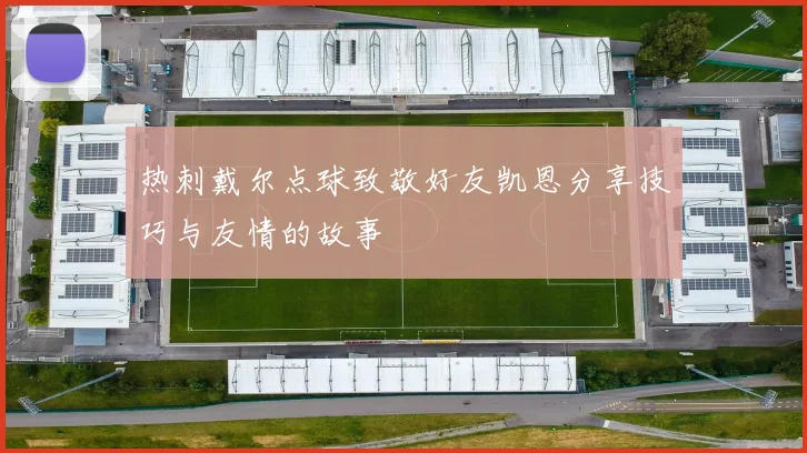 热刺戴尔点球致敬好友凯恩分享技巧与友情的故事