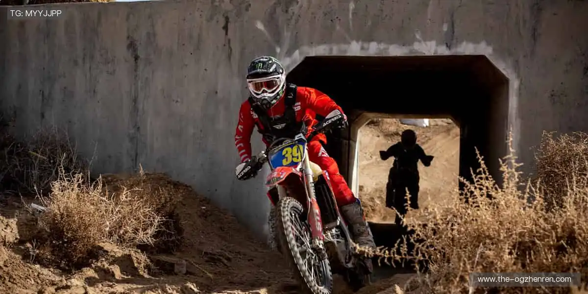 球迷专属，把热爱穿在身上！👕💪